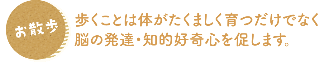 歩くことは体がたくましく育つだけでなく脳の発達・知的好奇心を促します。