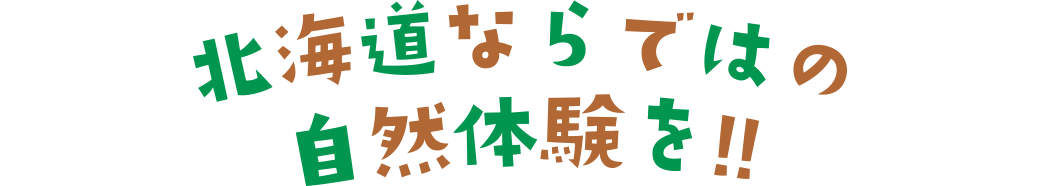 北海道ならではの自然体験を!!